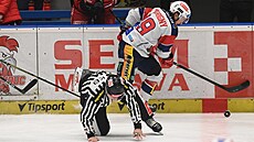 �árový rozhod�í Vít Lederer padá kontaktu s Miguëlem Tourignym z Pardubic.