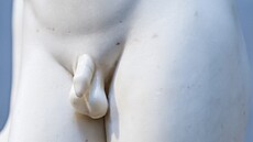 Evolu�ní záhada, mínila o penisu v�da.