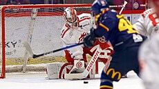 T�inecký branká� Marek Mazanec zasahuje v utkání proti �eským Bud�jovicím.