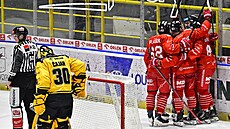 Olomou�tí hokejisté se radují z gólu v utkání proti Litvínovu.