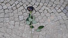 Na kancelá� bývalého �éfa Pirát� Ivana Barto�e v Kutné Ho�e n�kdo zaúto�il....