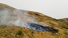 Vypalování jako prost�edek obnovy biodiverzity zkou�í  jihomorav�tí ochránci...