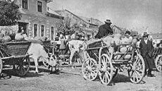 Trh v podkarpatském Berehovu ve 30. letech.