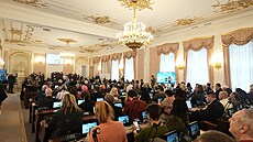 Poslanec SPD Jind�ich Rajchl uspo�ádal seminá� o covidu a dopadech vládních...