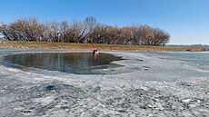 Hasi�i z Kvasic na Krom��í�sku opakovan� zasahovali na �ece Morav� kv�li...