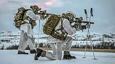 Britské armádní komando na arktickém cvi�ení v Norsku (6. ledna 2026)