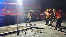 Tragická nehoda dodávky Dodge a �kody Octavie u Krnova, p�i které zem�el 68letý...