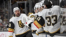 Tomá� Hertl slaví se st�ída�kou sv�j gól.