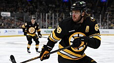 David Pastr�ák sleduje puk.