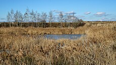 Areál mezi obcemi Mydlovary a Ole�ník slou�il pro chemickou úpravu uranových...