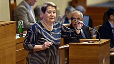 Místop�edsedkyn� Senátu Jitka ¨Seitlová
