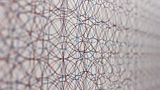 Výstava Pavla Rudolfa v Museu Kampa