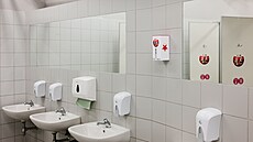 Slavia nabídne na svých stadionech v Edenu a Horních M�cholupech, kde hrají...