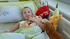 Malý Adam fandí Slavii. Pol�tá�ek se�ívaného klubu m�l s sebou i v nemocnici v...