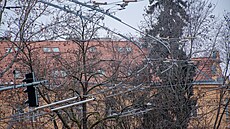 Novodobá pra�ská trolejbusová sí� se ji� brzy rozroste o dal�í tra�.