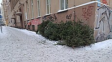 Váno�ní stromky po Vánocích objektivem �tená�� deníku Metro