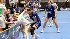 Doris Bergerová z Thorengruppenu (v bílém) bojuje u mantinelu o mí�ek s...