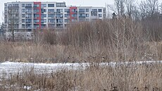 V t�chto místech v okolí pardubické Vinice by m�ly v dohledné dob� vyr�st...