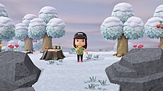 Animal Crossing: New Horizons Nintendo Switch 2 Edition