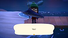 Animal Crossing: New Horizons Nintendo Switch 2 Edition