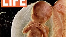 Titulní strana �asopisu LIFE z dubna 1965. Redakce otiskla snímky Lennarta...