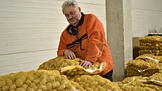 Libor Jane�ka u� od za�átku vsadil na p�stování brambor. Jeho farma je jimi...