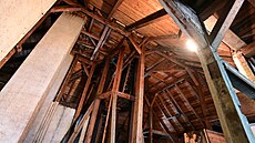 P�du �koly v Kyselce si oblíbili netopý�i. Léto zde tráví tisícovky vzácných...