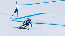 �eská ly�a�ka Tereza Koutná ve �pindlerov� Mlýn� (24. ledna 2026)