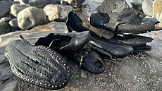 Boty vyplavené na plá�i Ogmore ve Walesu p�i �i�t�ní plá�e.