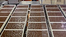 Studentská pe�e�