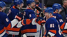 Ond�ej Palát (81) z New York Islanders slaví sv�j gól.