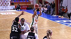 Shay Colleyová ze �abin Brno st�ílí na hradecký ko�.