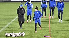Plze�tí fotbalisté trénují p�ed utkání s Portem.