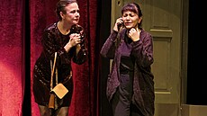 Petra �palková a Alena Mihulová b�hem zkou�ek novinky Kalichu Opona nahoru