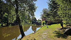 Ol�anský rybník v lét�, t�icet let po natá�ení D�dictví V�ry Chytilové