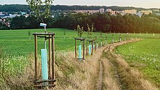 Alej pod Chlumem je prvním spln�ným p�áním v rámci participativního rozpo�tu na...