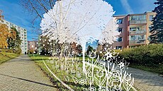 Obyvatelé m�stského obvodu 1 mohou dát hlas  i pro to, aby rostly v okolí...