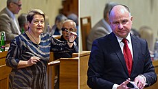 Kandidáti Senátu na funkci ve�ejného ochránce práv Eva Kostolanská a Jaromír...
