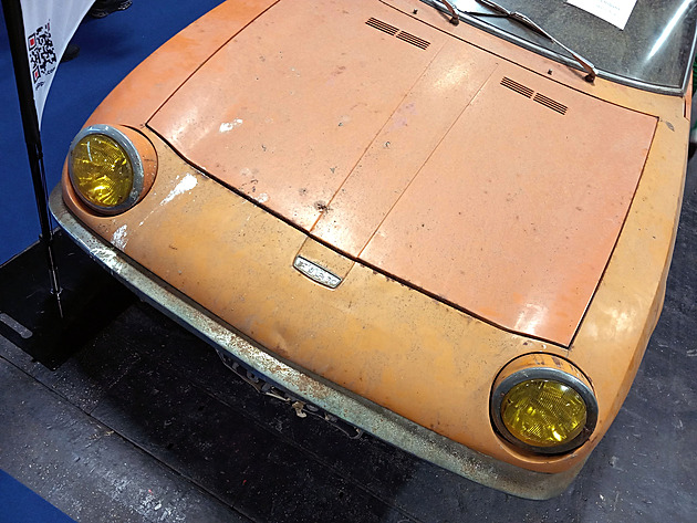 Kráska ze smeťáku. Svůdná Samantha je velká vzácnost