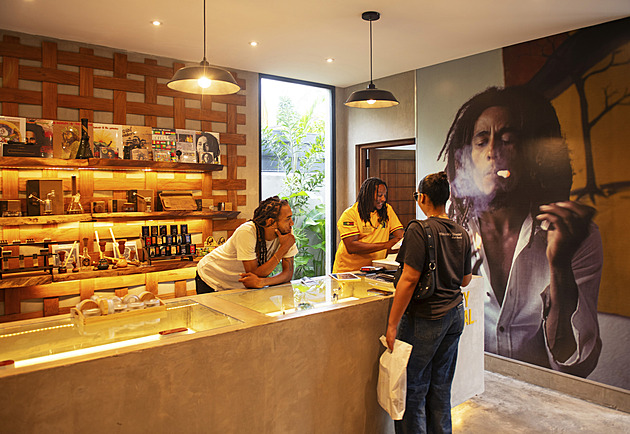 Zelené zlato Karibiku. S rozvojem legálního konopí roste i touha po expanzi