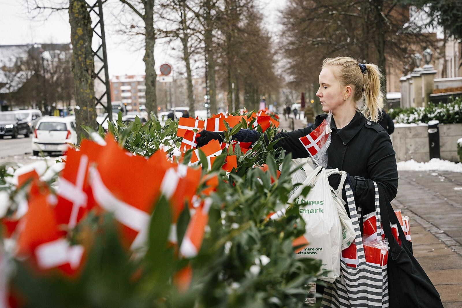 Američané naštvali Dány. Od ambasády odstranili vlajky přinesené veterány