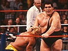 Andre the Giant