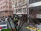K�cen� javor� na ulici �esk� v Brn� (27. ledna 2026)