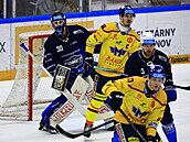 Momentka z duelu Brno - Bud�jovice. V brance domácích vykukuje Ale� Stezka.