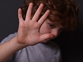 ilustra�ní snímek