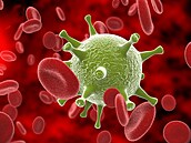 SARS-CoV-2 pat�í do rodiny koronavir�, stejn� jako p�íbuzné viry p�enesené na...