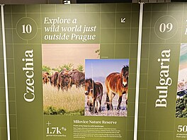 �eská krajina, výstava, Evropský parlament Brusel