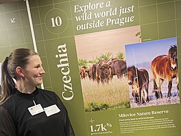 �eská krajina, výstava, Evropský parlament Brusel