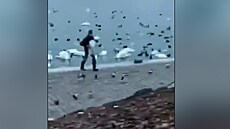 Mu� si z pra�ské vltavské náplavky odnesl odchycenou labu�