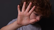 ilustra�ní snímek